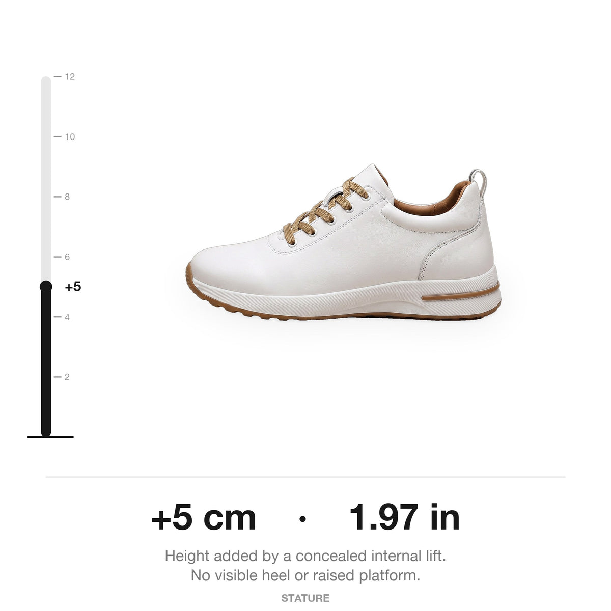 ledbury-sneaker-lift