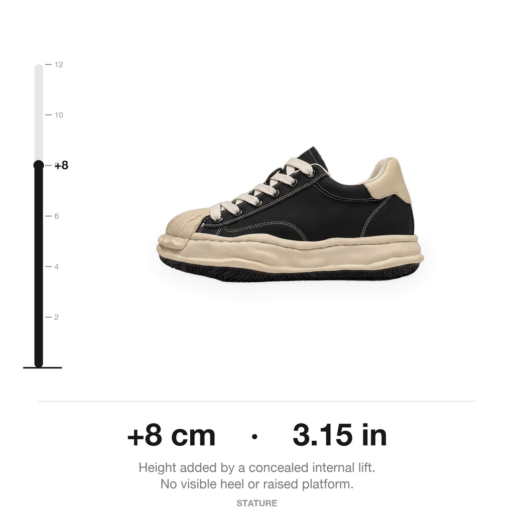 tarn-sneaker-lift